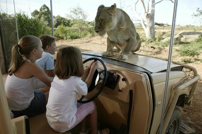 Deluxe Safari Adventure at Werribee Open Range Zoo - Excl. Entry - Key Points