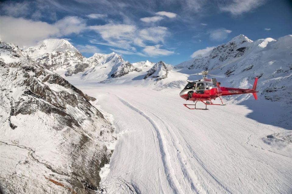 Denali National Park: Helicopter Flight With Glacier Landing - Key Points