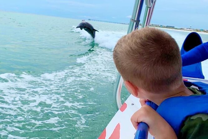 Destin Dolphin Watching Cruise in the Gulf of Mexico - Key Points