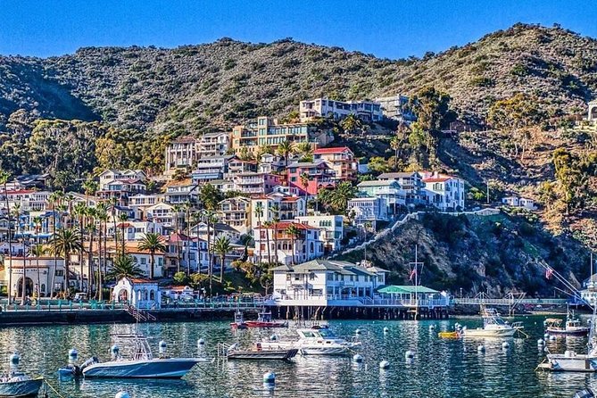 Discover Avalon: Catalina Scenic Tour - Key Points