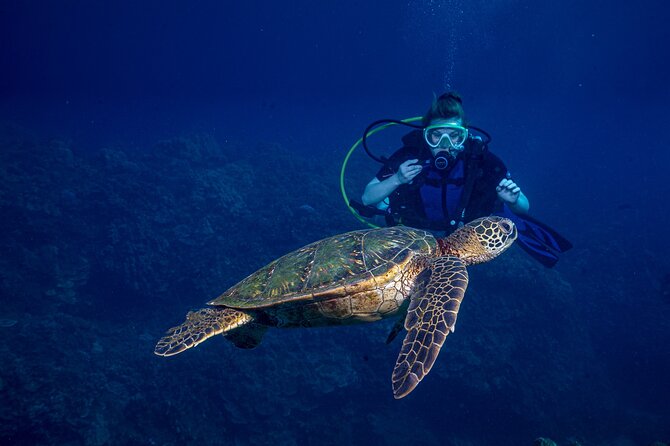 Discover Scuba Diving Class - Lahaina - Key Points