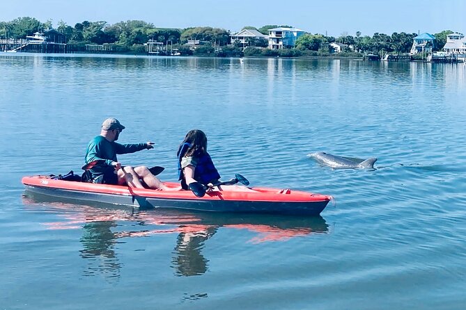 Dolphin, Manatee and Sea Turtle Adventure Tour of St. Augustine - Key Points