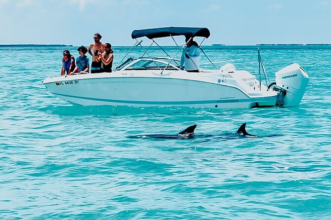 Dolphin Watching & Snorkeling - Key Points