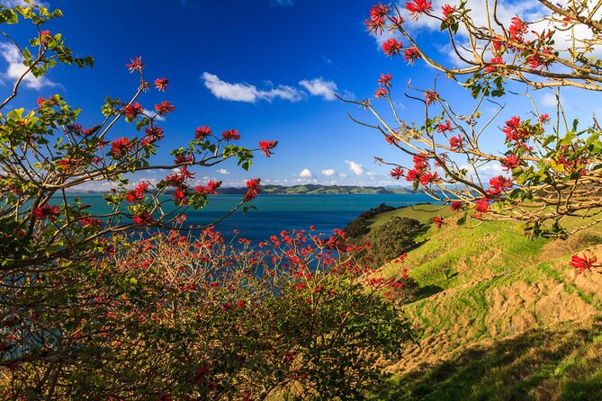 Duder Regional Park Half-Day Walking Tour - Key Points