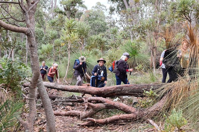 Dwellingup Trains, Trails & Woodfired Delights Full Day Tour - Key Points