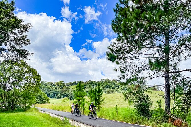 E Bike Hire - Northern Rivers Rail Trail - Self Guided Tour - Key Points