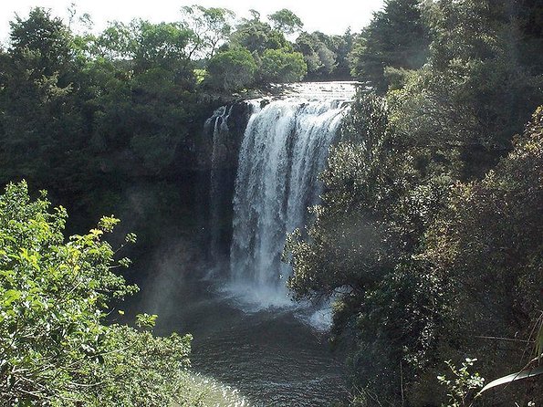 Electric Boats to Explore Kerikeri River - Key Points