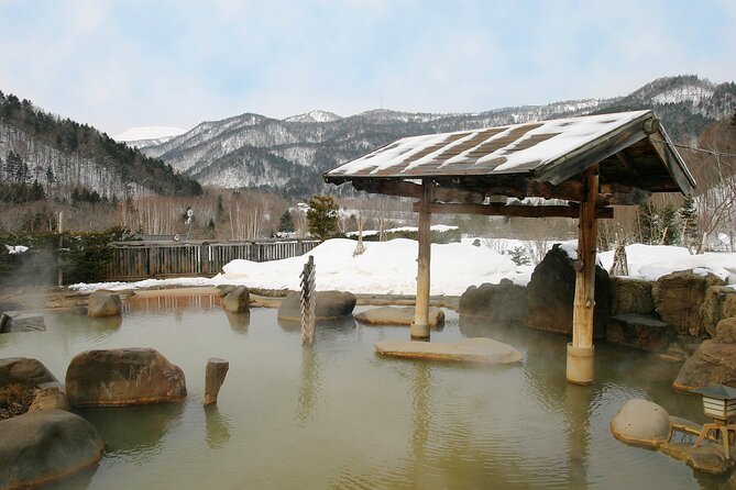 Enjoy Snow-Covered Hot Springs With Private Transport - Key Points