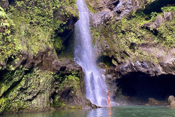 Epic Waterfall Adventure, the Best of Maui - Tour Highlights