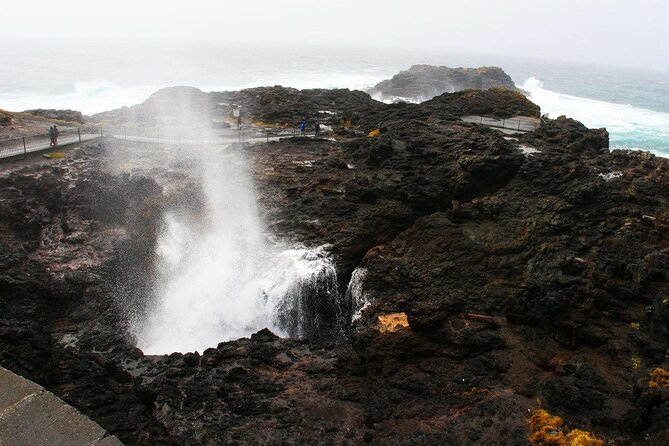 Erupting Blowholes and Ancient Rainforests SOUTH COAST OF SYDNEY PRIVATE TOUR - Key Points