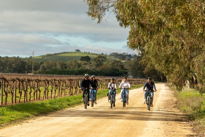 Experience Barossa Valley by E-bike - Key Points