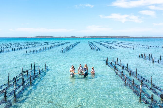 Experience Coffin Bay Oyster Farm and Bay Tour - Key Points