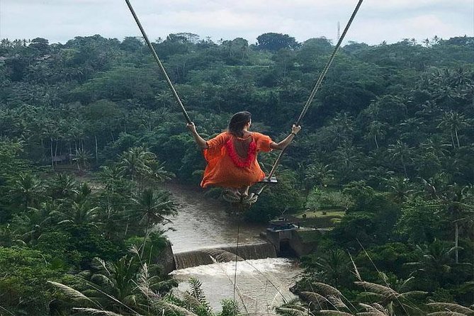 Experience Full Day to Bali Swing Temple and Monkey Forest - Key Points