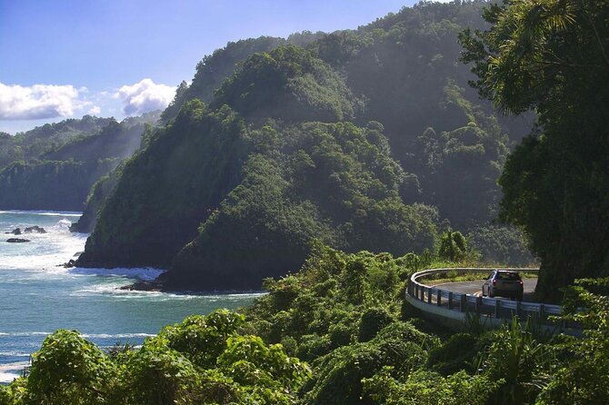 Famous Road to Hana Waterfalls and Lunch by Mercedes Van - Key Points