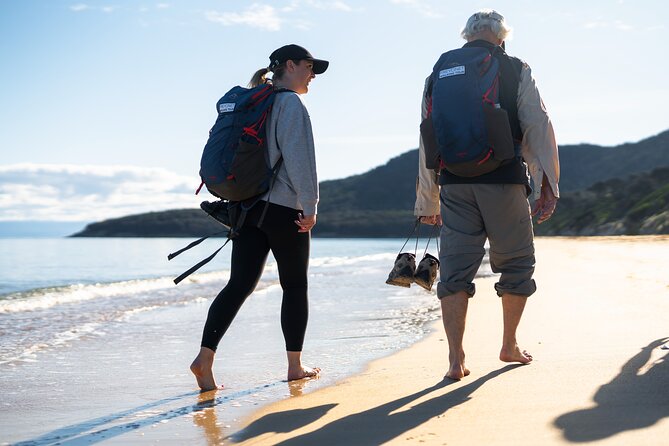 Freycinet National Park Walking Tour and Beach Picnic Lunch  - Coles Bay - Key Points