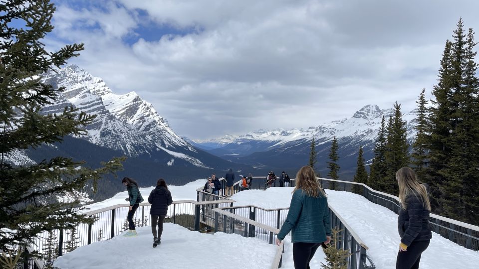 From Banff: Icefield Parkway Scenic Tour With Park Entry - Key Points