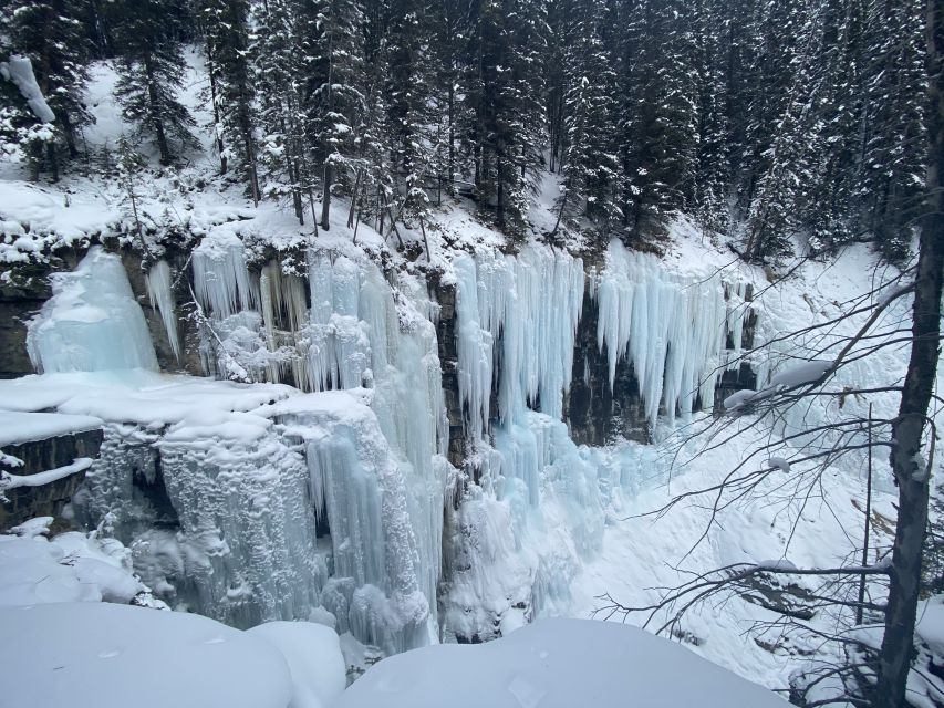 From Banff: Johnston Canyon Guided Icewalk - Key Points