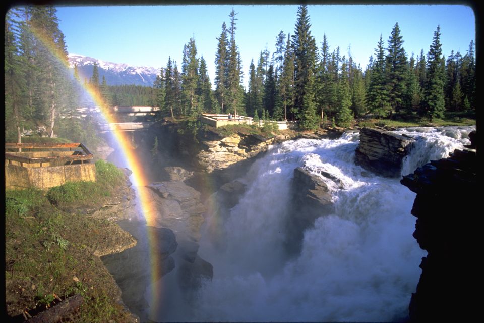 From Banff/Lake Louise: 1-Way Sightseeing Tour to Jasper - Experience Highlights