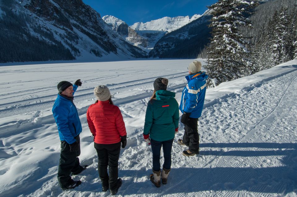 From Banff: Lake Louise Half-Day Winter Tour - Key Points