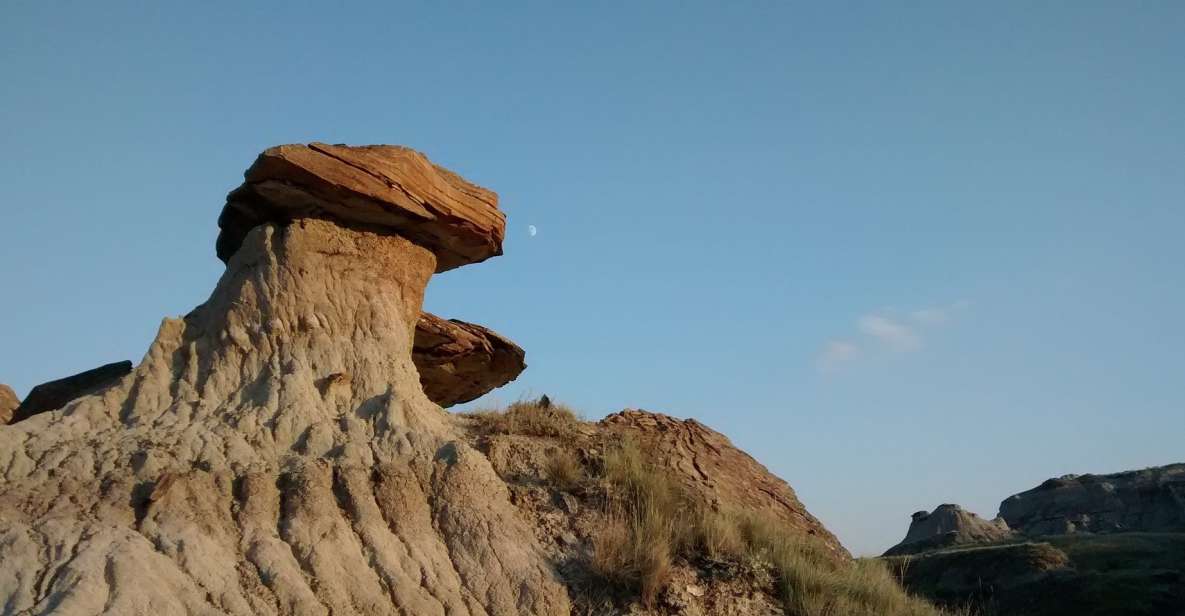 From Calgary: Canadian Badlands Private Geological Tour - Key Points