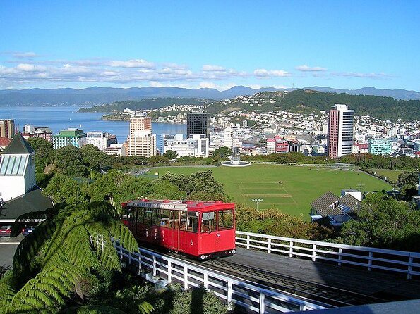 From Cave to Coast Wellington Highlights Tour - Key Points