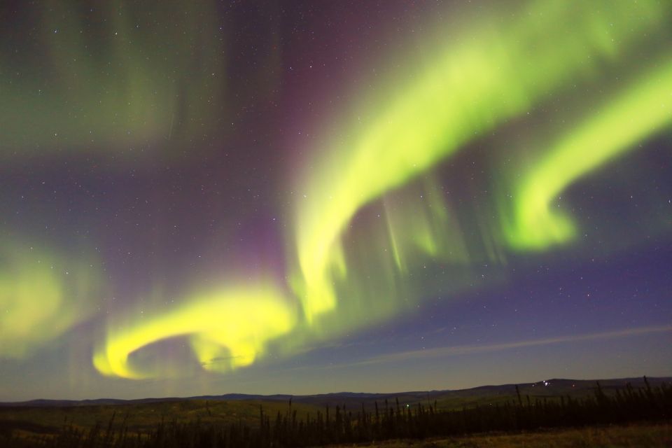 From Fairbanks: Chena Hot Springs Northern Lights Tour - Key Points