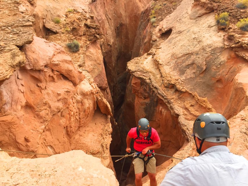 From Hanksville: West Moab Hidden Wonders Canyoneering Tour - Key Points