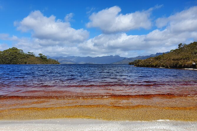 From Hobart: Gordon Dam Lake Pedder Wilderness Small Group Tour - Key Points