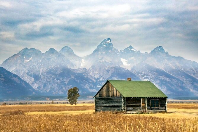 From Jackson: Full-Day Grand Teton Wildlife and Scenery Tour With Lunch - Key Points
