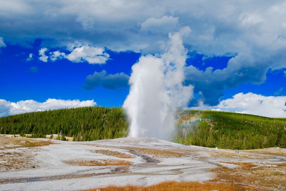 From Jackson: Yellowstone National Park Day Trip With Lunch - Key Points