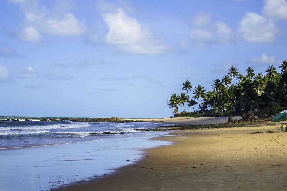 From João Pessoa: Full-Day Southern Coast Beaches Tour - Key Points