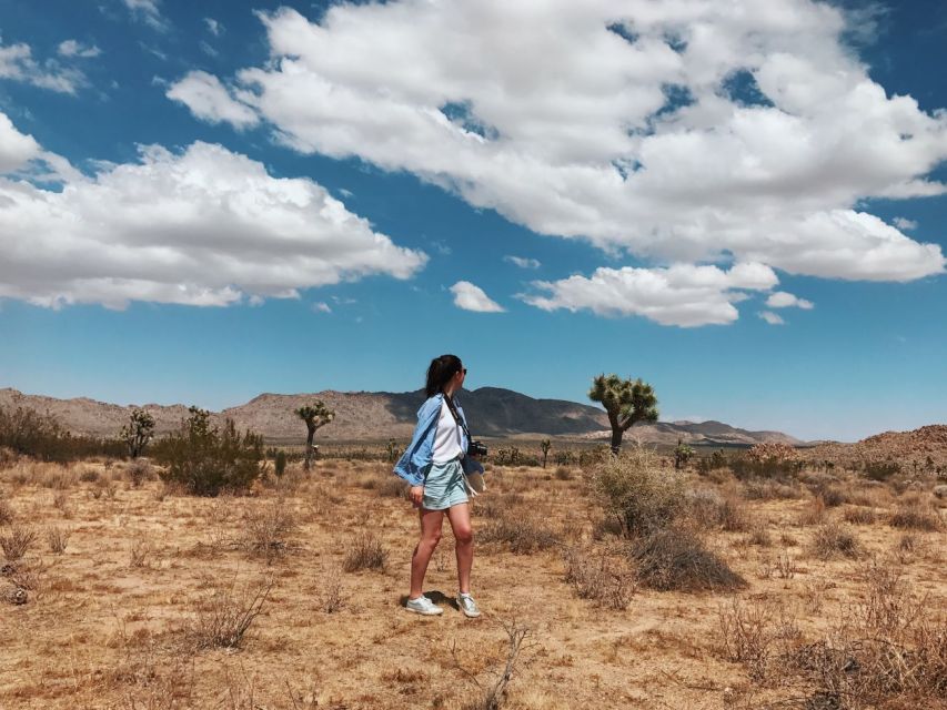 From Las Vegas: 4-Day Hiking and Camping in Joshua Tree - Key Points