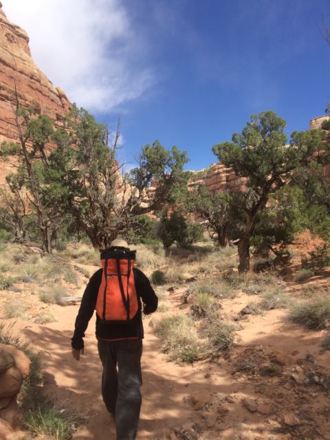 From Moab: 1-Day Horseshoe Canyon Exploration - Key Points