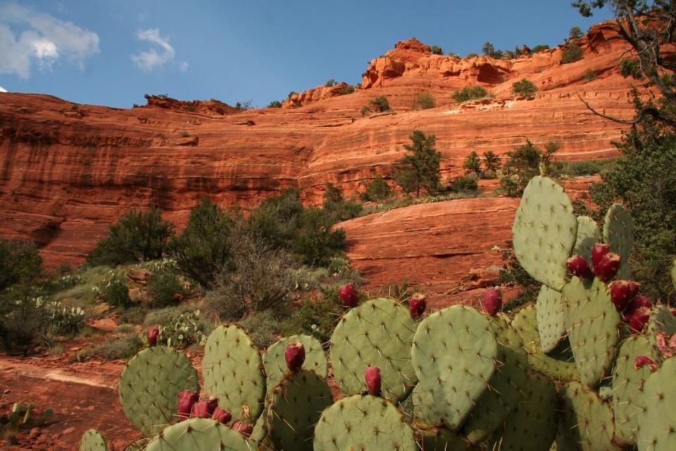 From Phoenix: Full-Day Sedona Small-Group Tour - Key Points