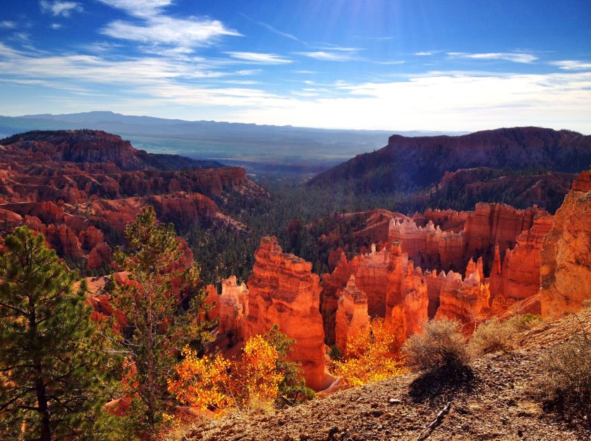 From Salt Lake City: Yellowstone and Tetons Parks in 4 Days - Key Points