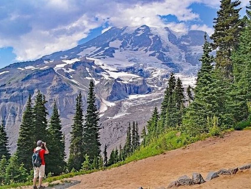 From Seattle: Full-Day Mt Rainier National Park Private Tour - Key Points