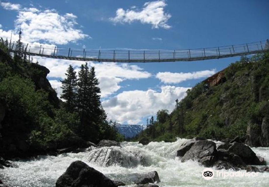 From Skagway: White Pass and Yukon Suspension Bridge Tour - Key Points