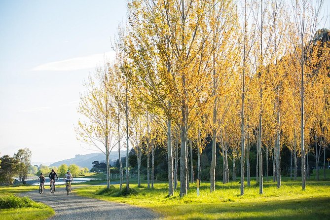 From Source to Sea Mountain Bike Remutaka Cycle Tour - Key Points