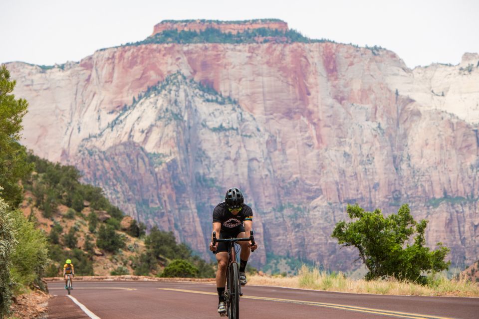 From Springdale: Zion National Park Bike Tour - Experience Highlights