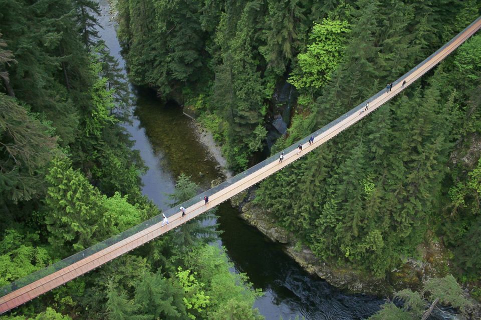 From Vancouver: Capilano Suspension Bridge & Grouse Mountain - Key Points