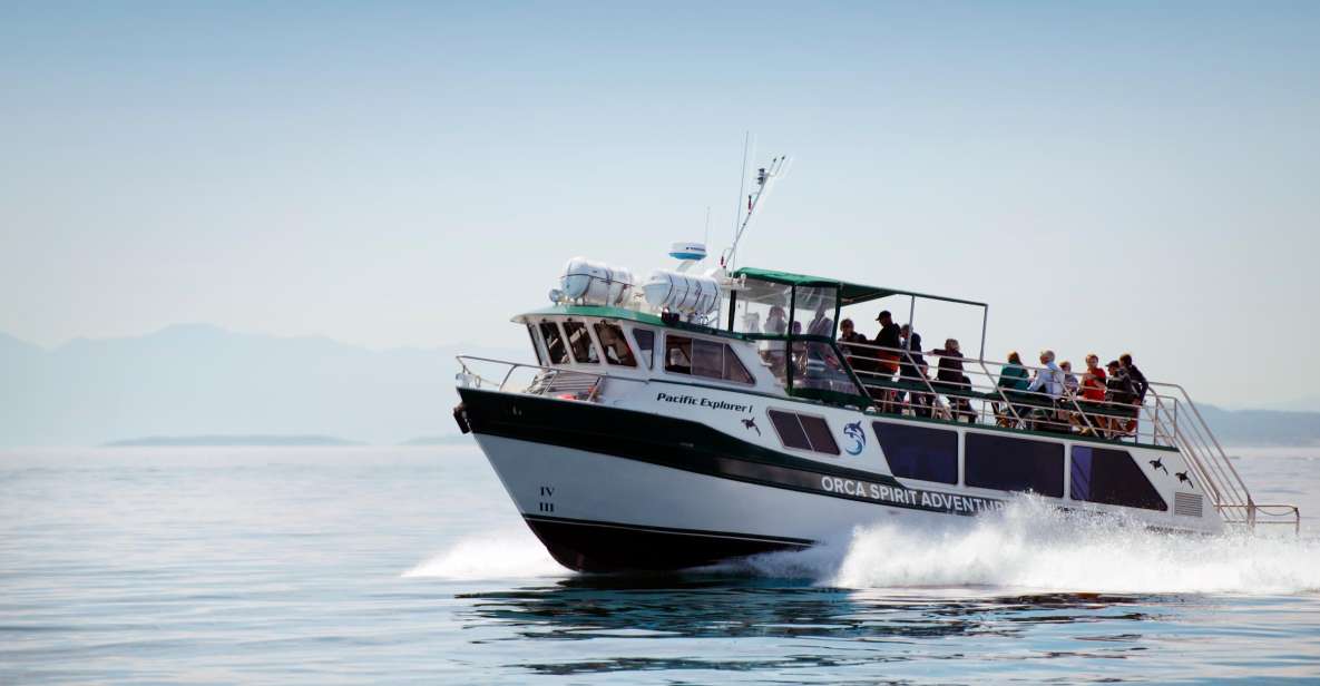 From Victoria: Whale Watching 3-Hour Trip on Covered Boat - Key Points