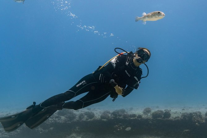 From Waikiki, Oahu 5-Hour Introduction to Scuba Diving - Inclusions and Amenities