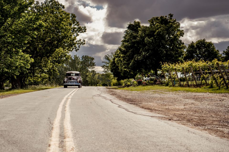 From Wolfville: Nova Scotia Wine Region Vintage Car Tour - Key Points