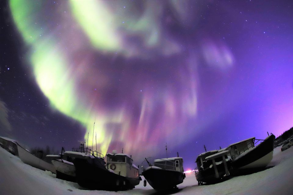 From Yellowknife: Northern Lights Bus Tour With Photos - Key Points