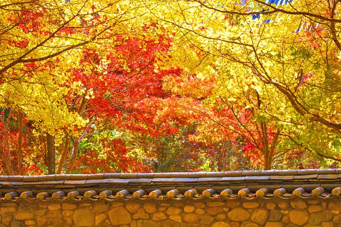 Full-Day Autumn Tour From Busan to Unmunsa Bhikkhuni Temple - Key Points
