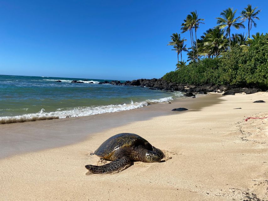 Full Day Best of Oahu Sightseeing Tour - Key Points