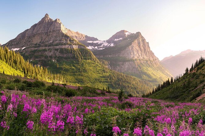 Full Day Glacier National Park Whitewater Rafting Adventure - With Lunch! - Key Points