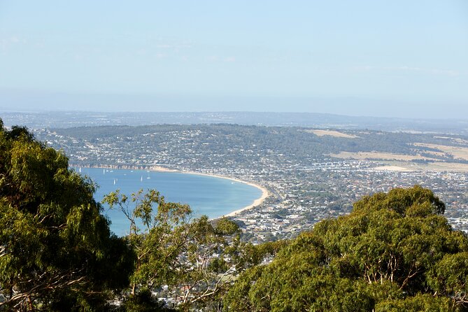 Full-Day Guided Tour on the Beautiful Mornington Peninsula. - Key Points