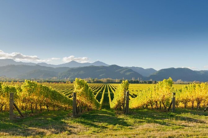 Full-Day Marlborough Scenic and Wine Tour From Blenheim - Key Points