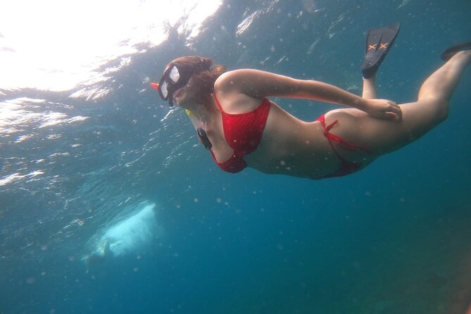 Full-Day Nusa Penida Snorkeling Adventure From Bali - Key Points